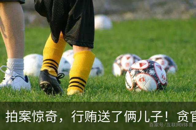 拍案惊奇，行贿送了俩儿子！贪官代孕得子7天落马，有些人的辫子长在心里。